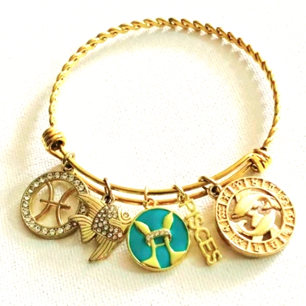 Pisces Charm Bracelet